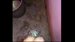 साली के बाद सासू माँ को चोदा